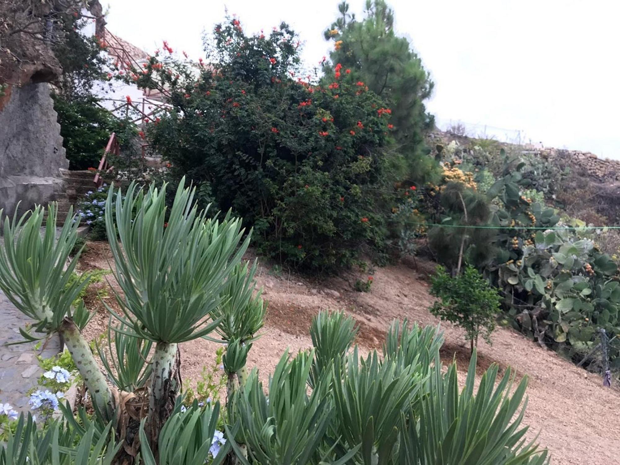 Finca Las Polinarias Casa Cueva En Fasnia Santa Cruz de Tenerife Exterior foto